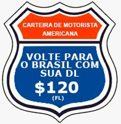 carteira de motorisata americana