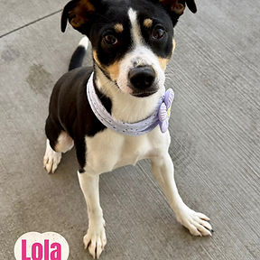 Lola