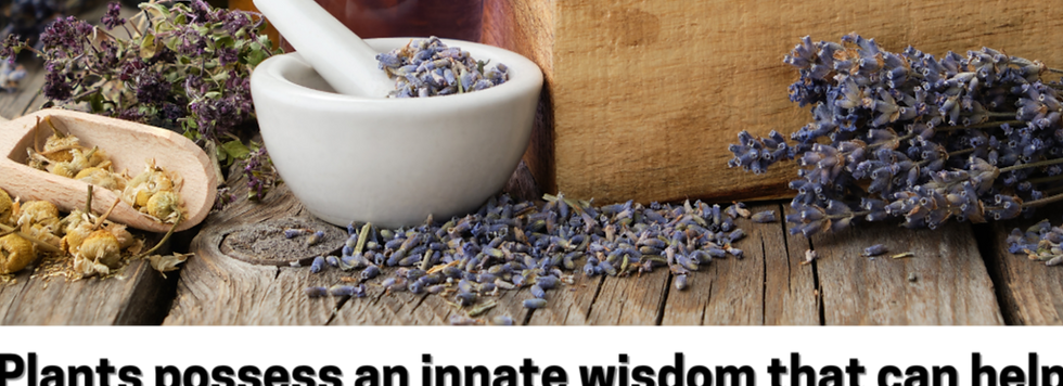 Plants possess an innate wisdom that can help us unlock our own healing potential._edited.
