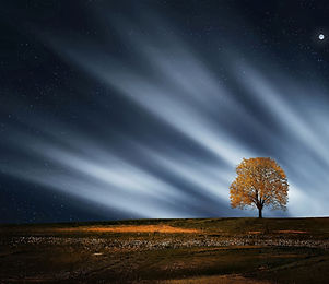 dreamstime_xxl_83064946.jpg