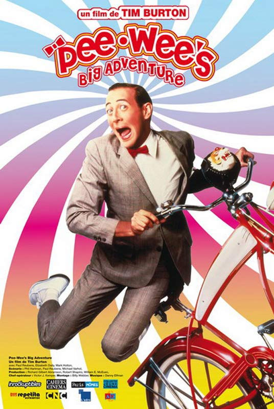 Affiche du Film