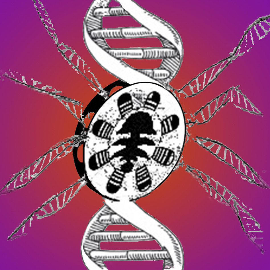 Synemiettes 4 1 Le Labyrinthe De Pan Victimes Du Temps Victuailles Du Passe