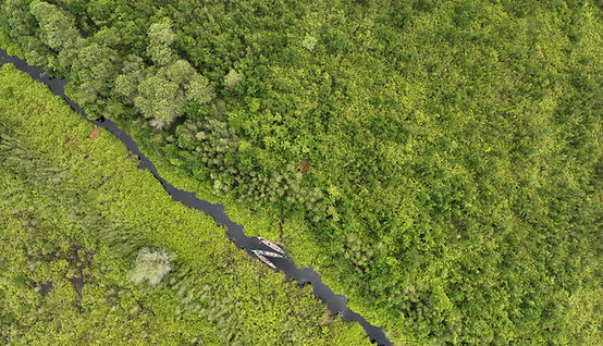 DJI_20250809102245_0004_V.JPG