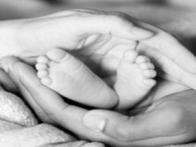 Umano in che senso? di Clara Origlia