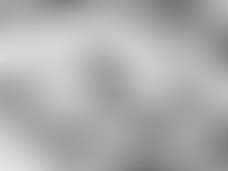 Umano in che senso? di Clara Origlia