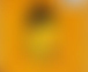 命運要我成為皇帝，但我選擇做一位詩人