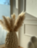 image00013.jpeg