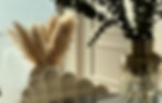 image00018.jpeg