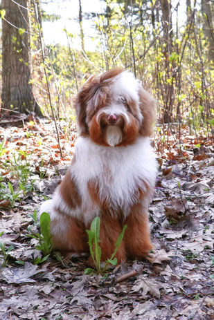 Photo 2023-05-07, 4 03 23 PM (1).jpg