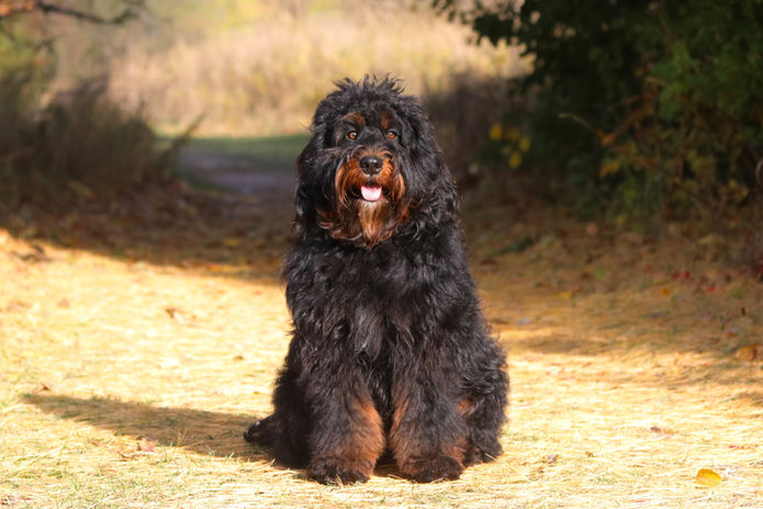 Photo 2022-10-14, 3 44 05 PM.jpg