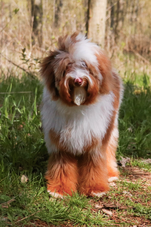 Photo 2023-05-07, 4 06 06 PM (1)_edited.png