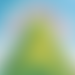 A hill covered in colorful wildflowers under a blue sky with clouds. Red text arcs above, reading "A Hill I Will Die On".