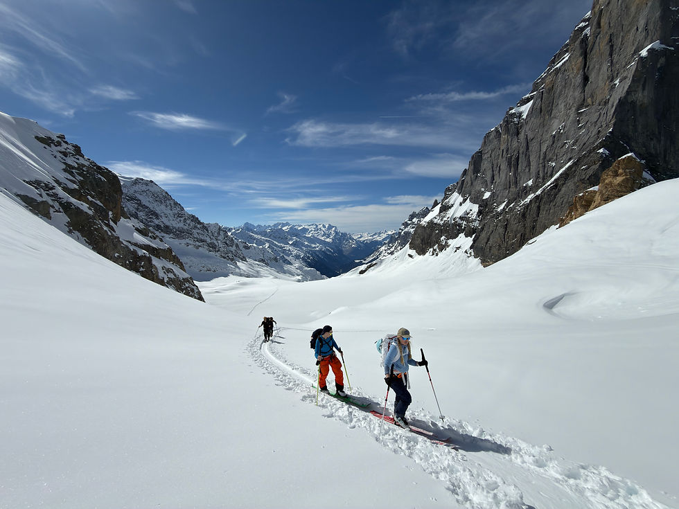 Group Ski Touring, Whitagram, Alps