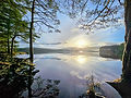 Loch Garten 1.jpg