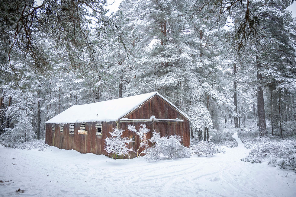 Nethy Website-©Niven Photography-34.jpg