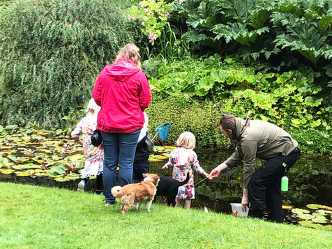 Children enjoying pond dipping at the lily pond in Attadale Gardens.