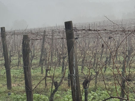 Preparation in Percussina