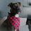 Thumbnail: Red Plaid Dog Bandana