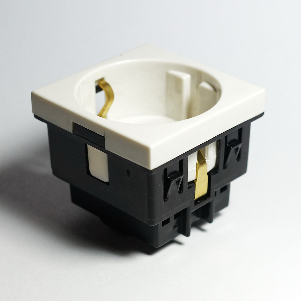 Close view of a German Type F Schuko socket used in Berlin homes and hotels