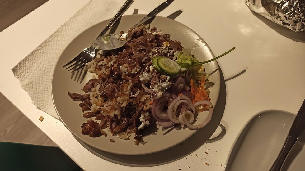 Döner components with onions and salad, showing what "mit alles" includes