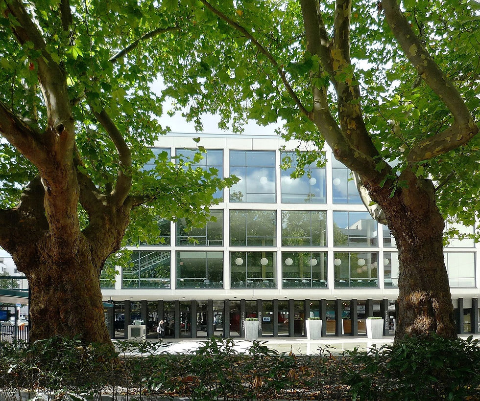 The Deutsche Oper Berlin on Bismarckstrasse, a plain concrete and glass front framed by plane trees
