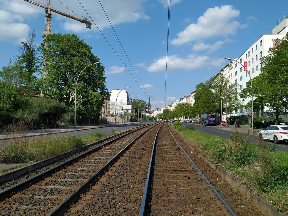 A tram rolling down a leafy Prenzlauer Berg street