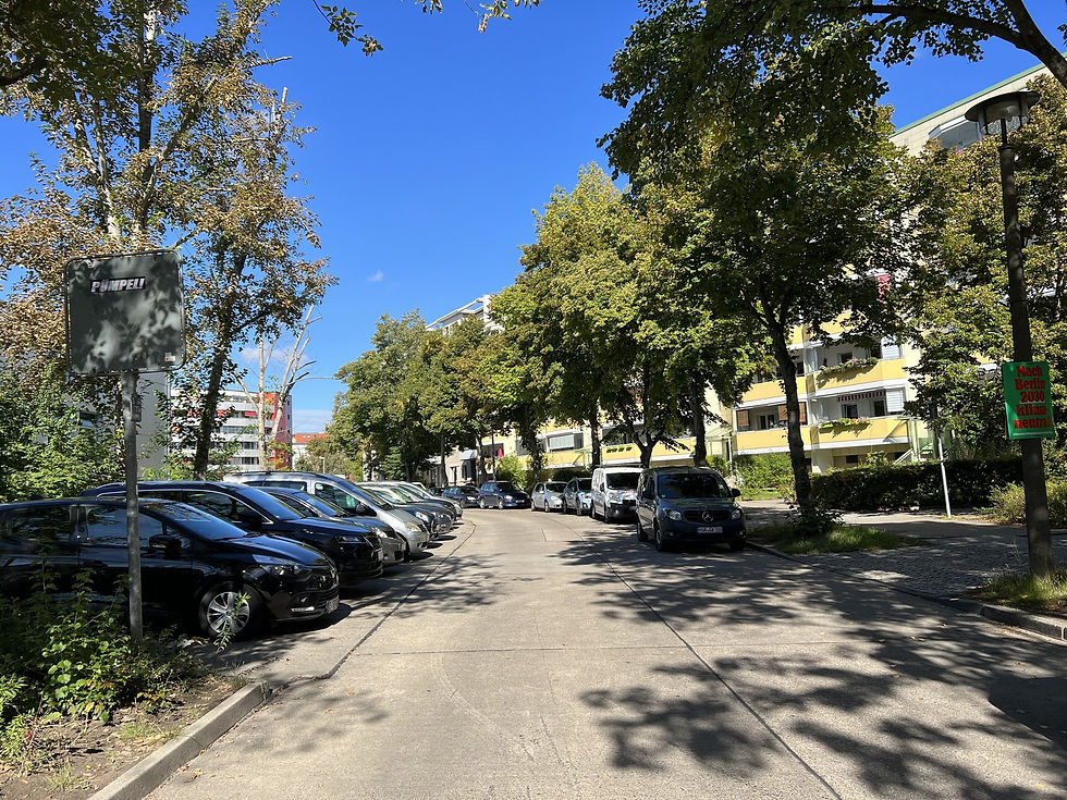 A quiet residential street in Lichtenberg with mature trees, parked cars and low apartment blocks in afternoon sun