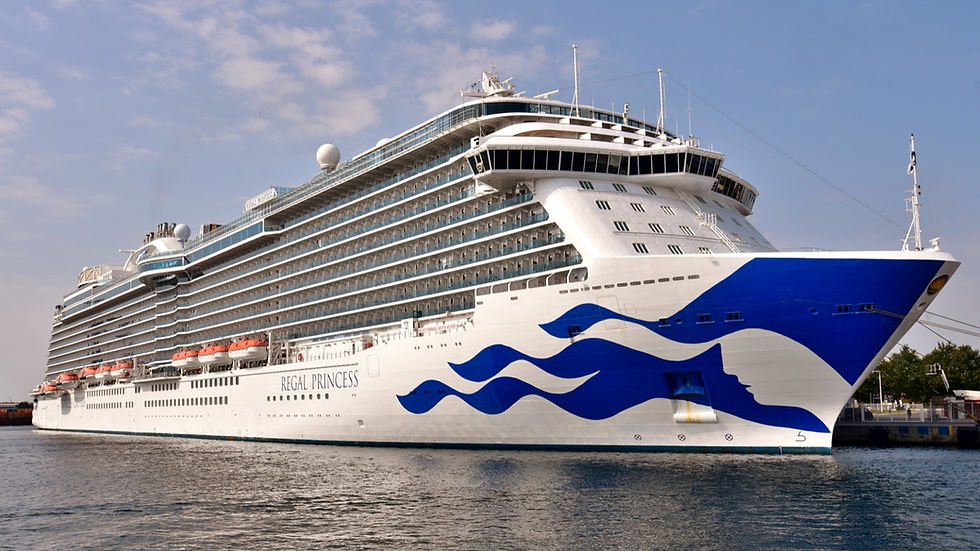 A large cruise ship moored at the Warnemünde cruise pier on a clear day