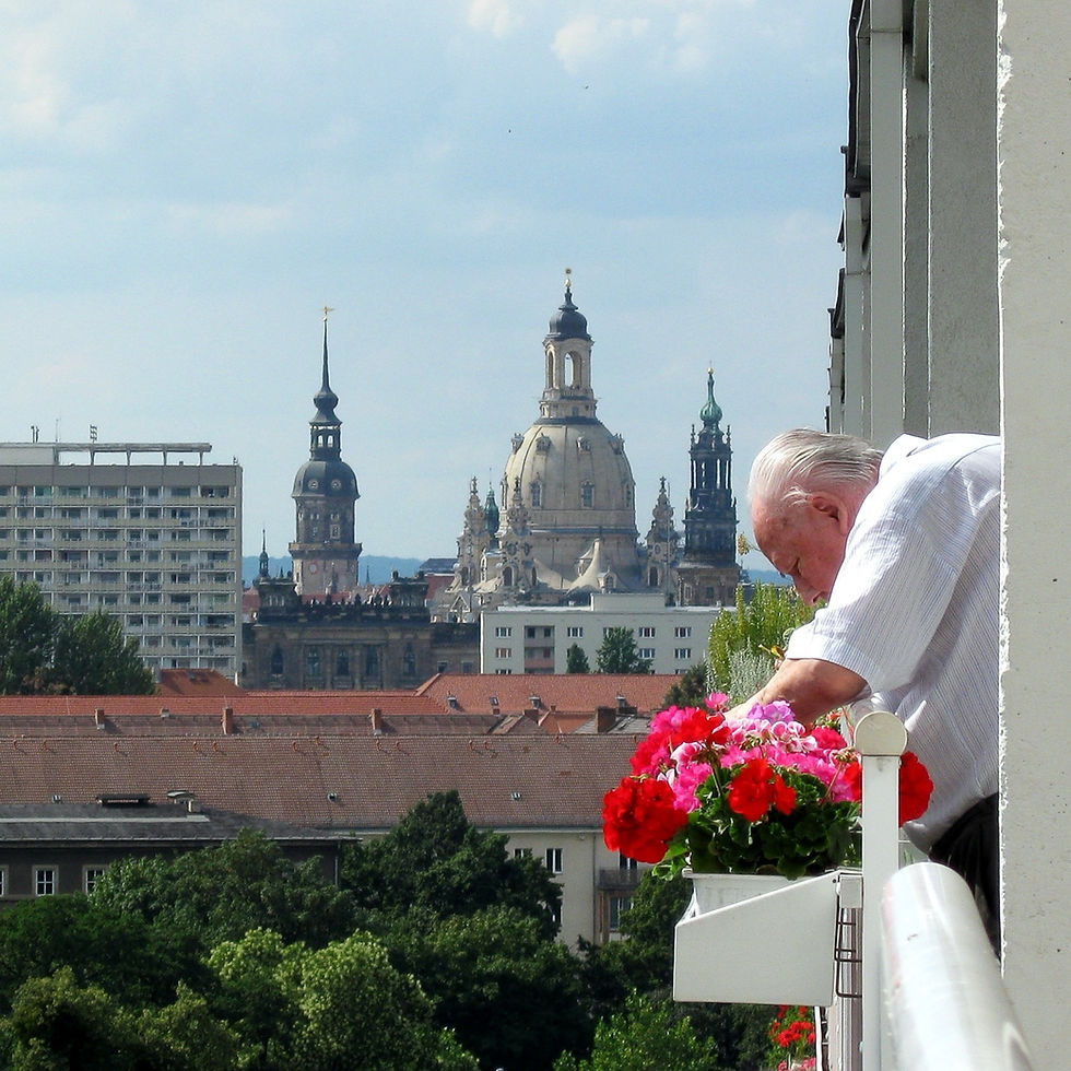 The Dresden skyline with the Frauenkirche, a full-day city trip from Berlin