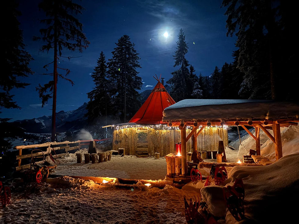 A découvrir absolument...