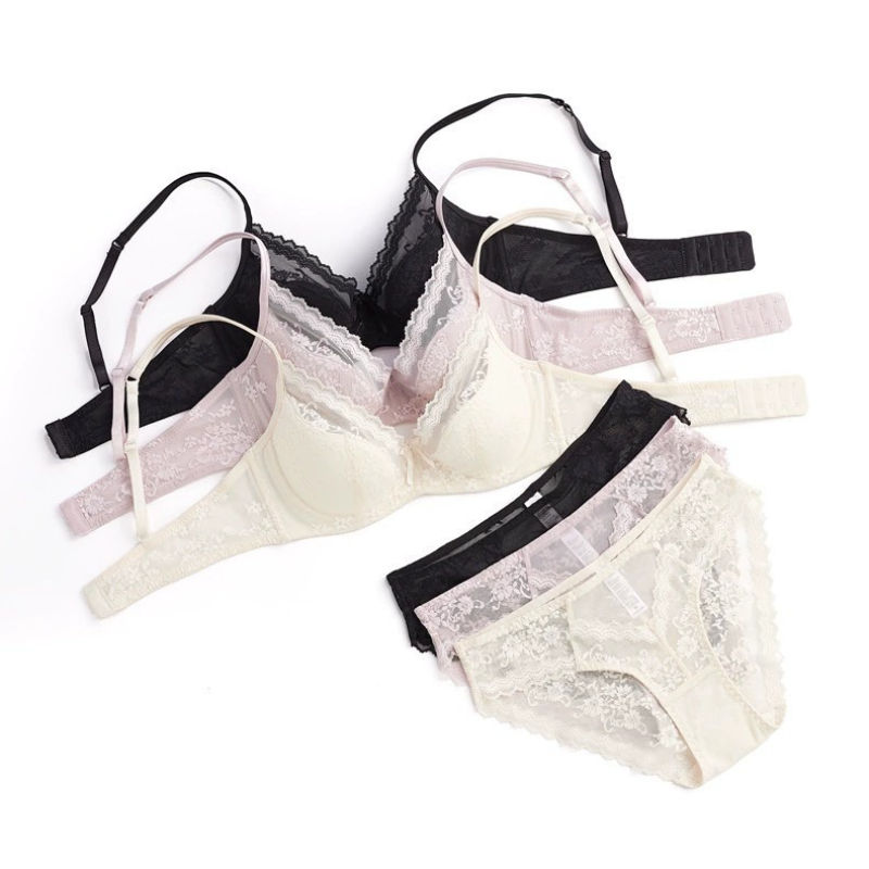 Summer Sexy Lace Embroidery Women Lingerie Set French Thin Cup Push Up Bra Comfo
