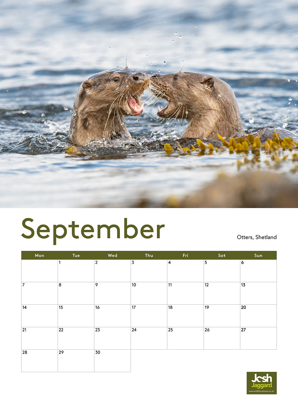 Thumbnail: 2026 Wildlife Calendar - Large A3