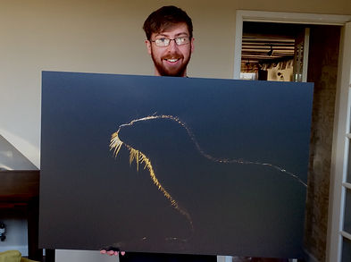 Josh Jaggard wildlife photographer shetland and norfolk