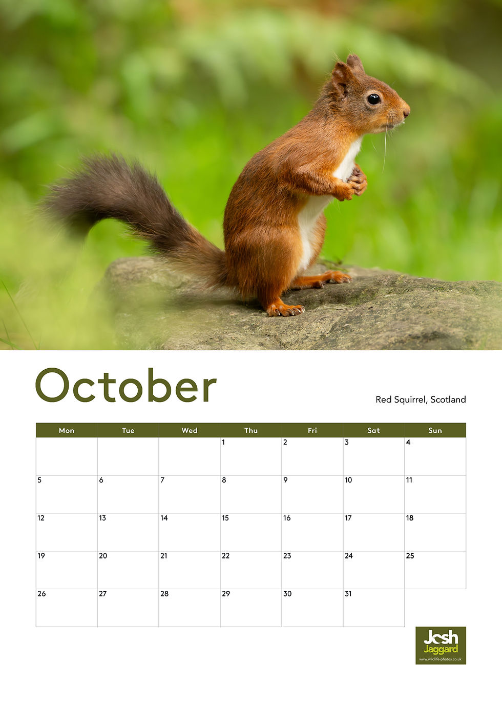 Thumbnail: 2026 Wildlife Calendar - Large A3