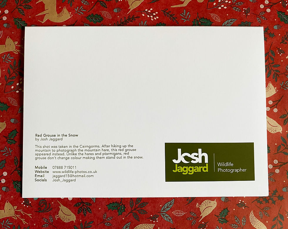 Thumbnail: Christmas Cards -- Pack of 5