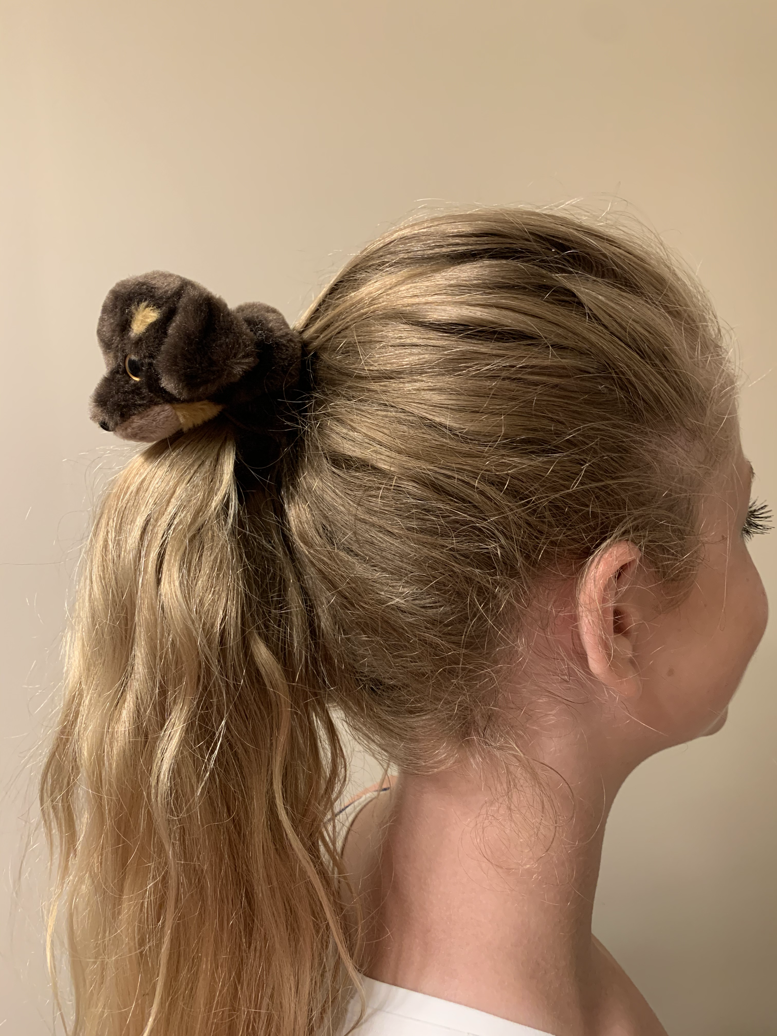 Brown Puppy Huggy Tail