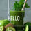 Miniature : HELLO DETOX- Programme express
