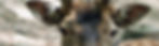 csm_tierpark-arnstadt_f364f7685e.jpg