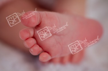 _MG_5413-Edit-2