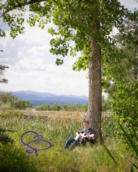 Steph Steinmark Photography, LLC