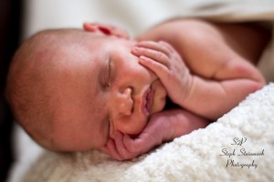 watermark--12