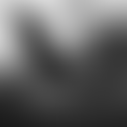 The world you see..is who you are.