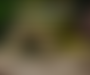 The mirage of unconditional love...