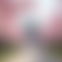 大学卒業記念写真のベストプラン：撮影ポイントとおすすめプラン