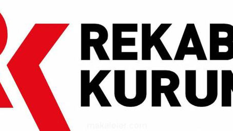 LENIENCY AND SETTLEMENT MECHANISMS HAVE BEEN APPLIED JOINTLY FOR THE FIRST TIME