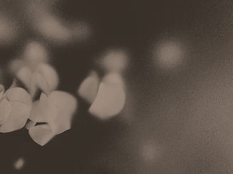 Blurry Petals_edited.jpg