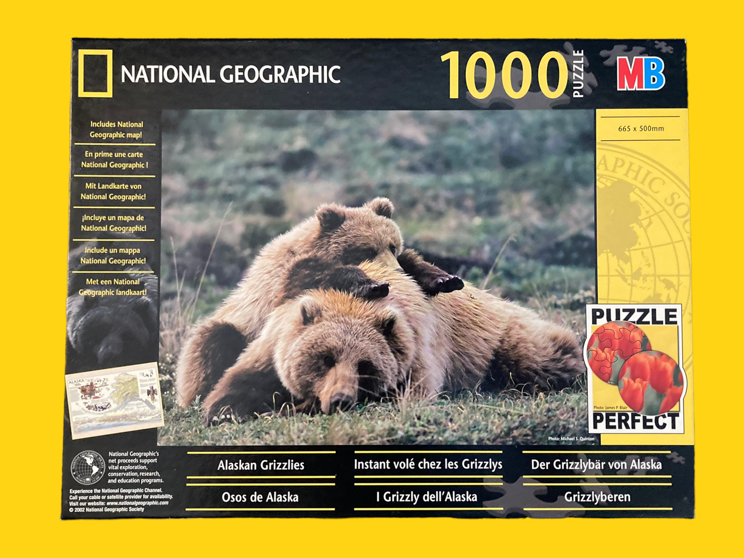 1000 - Der Grizzlybär von Alaska