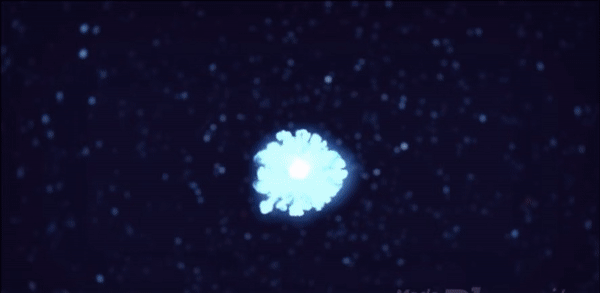IMG-8095.GIF