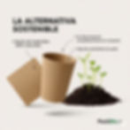 Miniatura: Alternativa sostenible: Vaso y cuadrado de material 100% natural Packbio