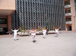 Performance